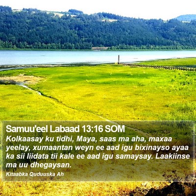 Samuu'eel Labaad 13:16 SOM Bible Verse Image