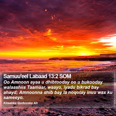 Samuu'eel Labaad 13:2 SOM Bible Verse Image