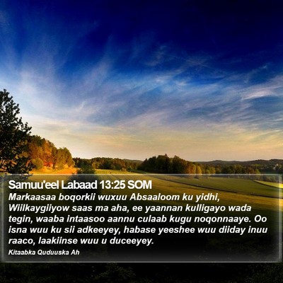 Samuu'eel Labaad 13:25 SOM Bible Verse Image