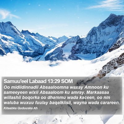 Samuu'eel Labaad 13:29 SOM Bible Verse Image
