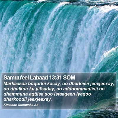Samuu'eel Labaad 13:31 SOM Bible Verse Image