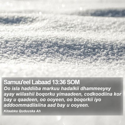 Samuu'eel Labaad 13:36 SOM Bible Verse Image