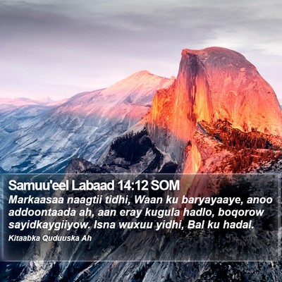 Samuu'eel Labaad 14:12 SOM Bible Verse Image