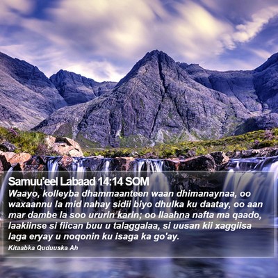 Samuu'eel Labaad 14:14 SOM Bible Verse Image