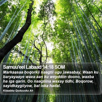 Samuu'eel Labaad 14:18 SOM Bible Verse Image