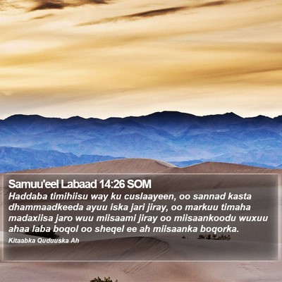 Samuu'eel Labaad 14:26 SOM Bible Verse Image