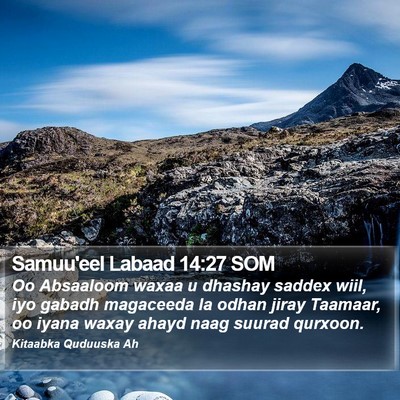 Samuu'eel Labaad 14:27 SOM Bible Verse Image