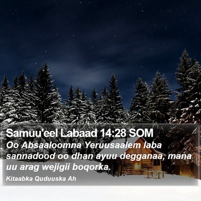 Samuu'eel Labaad 14:28 SOM Bible Verse Image