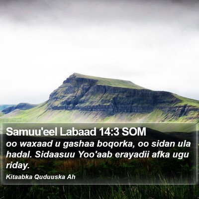 Samuu'eel Labaad 14:3 SOM Bible Verse Image