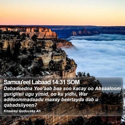 Samuu'eel Labaad 14:31 SOM Bible Verse Image