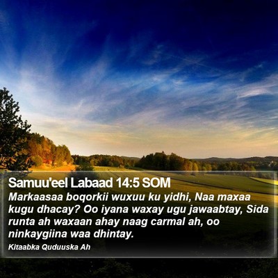 Samuu'eel Labaad 14:5 SOM Bible Verse Image