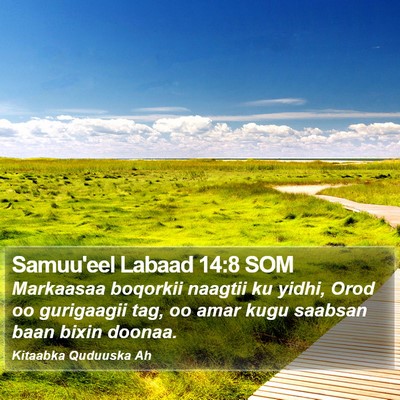Samuu'eel Labaad 14:8 SOM Bible Verse Image