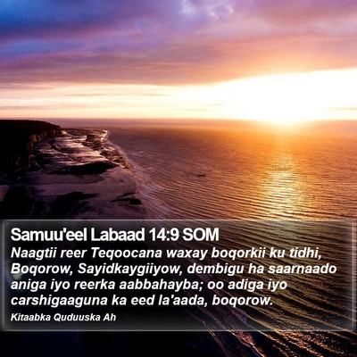 Samuu'eel Labaad 14:9 SOM Bible Verse Image