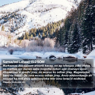 Samuu'eel Labaad 15:2 SOM Bible Verse Image