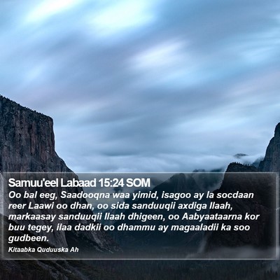 Samuu'eel Labaad 15:24 SOM Bible Verse Image