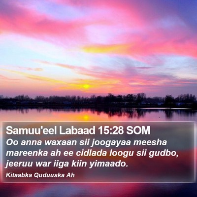 Samuu'eel Labaad 15:28 SOM Bible Verse Image