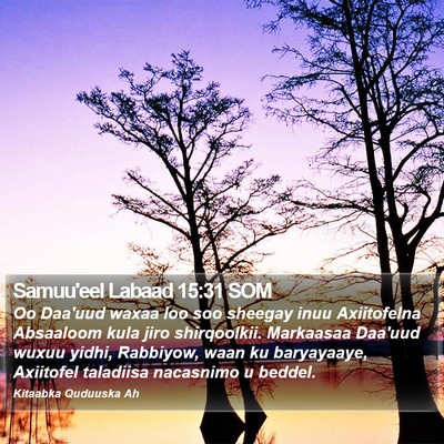 Samuu'eel Labaad 15:31 SOM Bible Verse Image