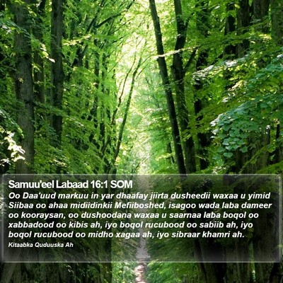 Samuu'eel Labaad 16:1 SOM Bible Verse Image