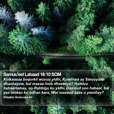 Samuu'eel Labaad 16:10 SOM Bible Verse Image