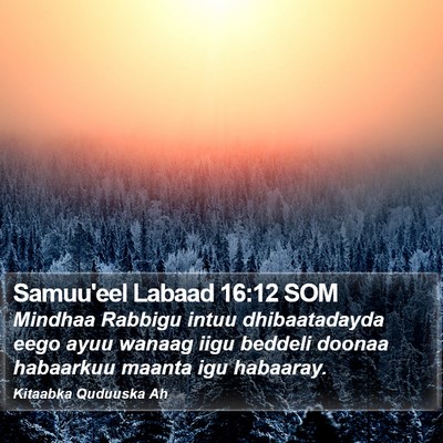 Samuu'eel Labaad 16:12 SOM Bible Verse Image