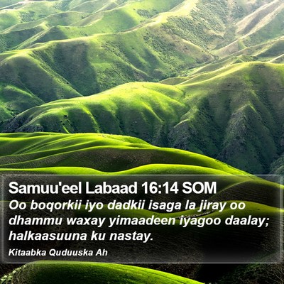 Samuu'eel Labaad 16:14 SOM Bible Verse Image