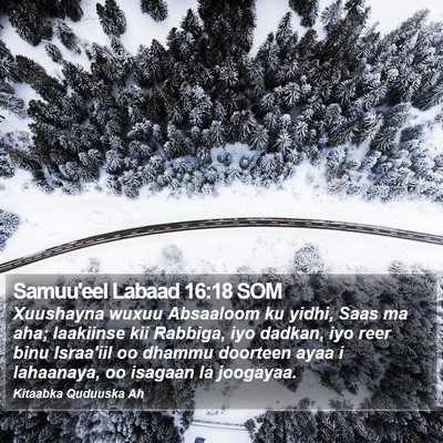 Samuu'eel Labaad 16:18 SOM Bible Verse Image