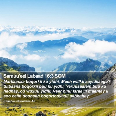 Samuu'eel Labaad 16:3 SOM Bible Verse Image