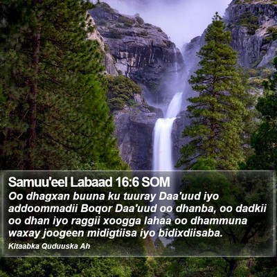 Samuu'eel Labaad 16:6 SOM Bible Verse Image