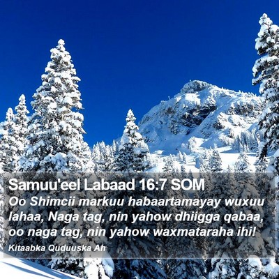 Samuu'eel Labaad 16:7 SOM Bible Verse Image