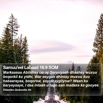 Samuu'eel Labaad 16:9 SOM Bible Verse Image