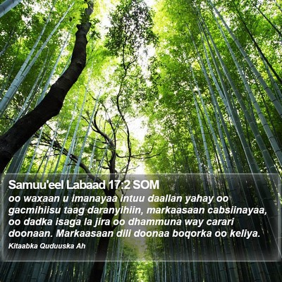 Samuu'eel Labaad 17:2 SOM Bible Verse Image