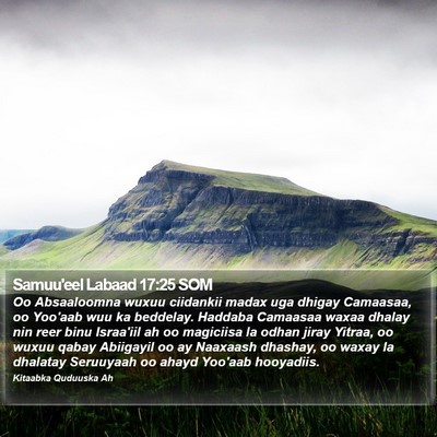 Samuu'eel Labaad 17:25 SOM Bible Verse Image