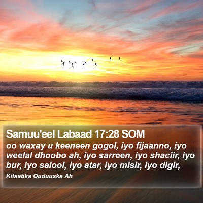 Samuu'eel Labaad 17:28 SOM Bible Verse Image