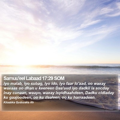 Samuu'eel Labaad 17:29 SOM Bible Verse Image