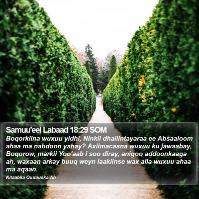 Samuu'eel Labaad 18:29 SOM Bible Verse Image