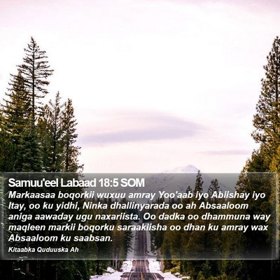 Samuu'eel Labaad 18:5 SOM Bible Verse Image