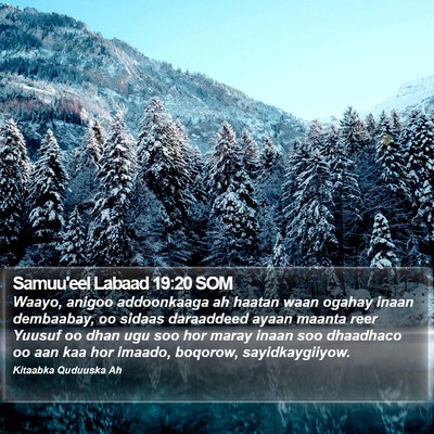 Samuu'eel Labaad 19:20 SOM Bible Verse Image