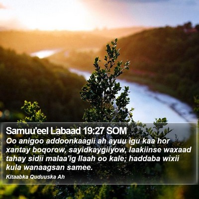 Samuu'eel Labaad 19:27 SOM Bible Verse Image