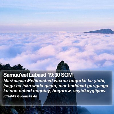 Samuu'eel Labaad 19:30 SOM Bible Verse Image