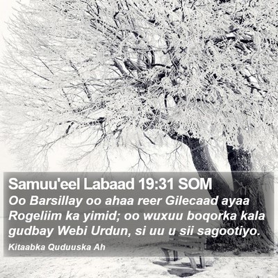 Samuu'eel Labaad 19:31 SOM Bible Verse Image