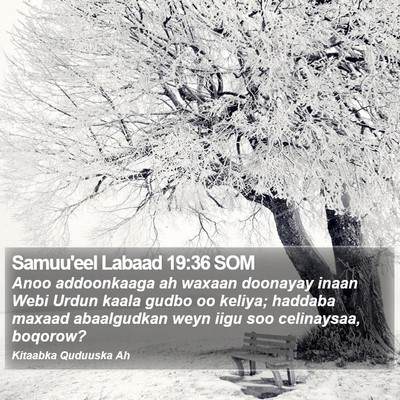 Samuu'eel Labaad 19:36 SOM Bible Verse Image
