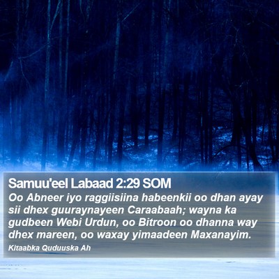 Samuu'eel Labaad 2:29 SOM Bible Verse Image