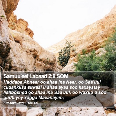 Samuu'eel Labaad 2:8 SOM Bible Verse Image