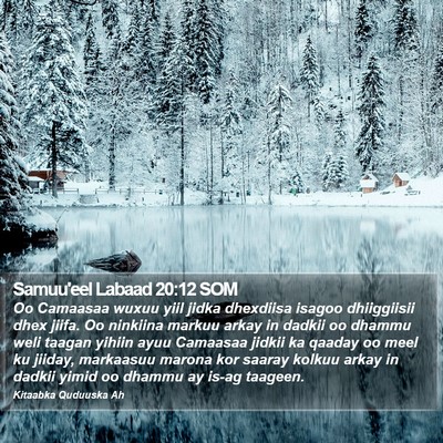 Samuu'eel Labaad 20:12 SOM Bible Verse Image