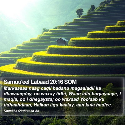 Samuu'eel Labaad 20:16 SOM Bible Verse Image
