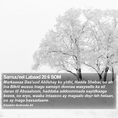 Samuu'eel Labaad 20:6 SOM Bible Verse Image