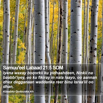 Samuu'eel Labaad 21:5 SOM Bible Verse Image