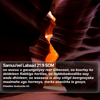 Samuu'eel Labaad 21:9 SOM Bible Verse Image