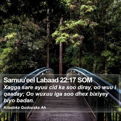 Samuu'eel Labaad 22:17 SOM Bible Verse Image