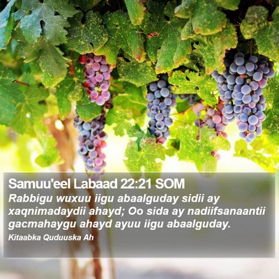 Samuu'eel Labaad 22:21 SOM Bible Verse Image
